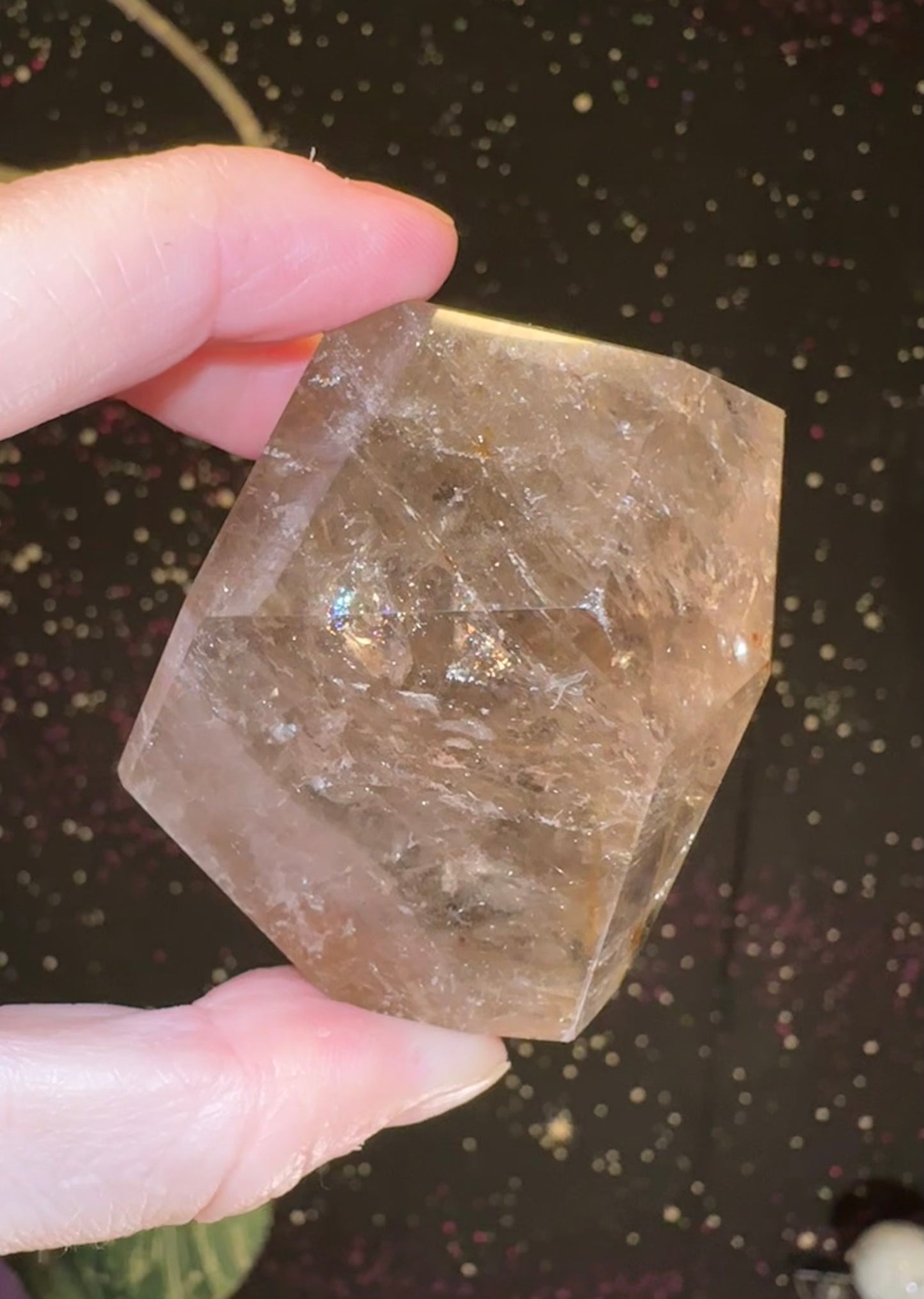 Golden Rutile Freeform w/ Lodolite (Garden Quartz) inclusions